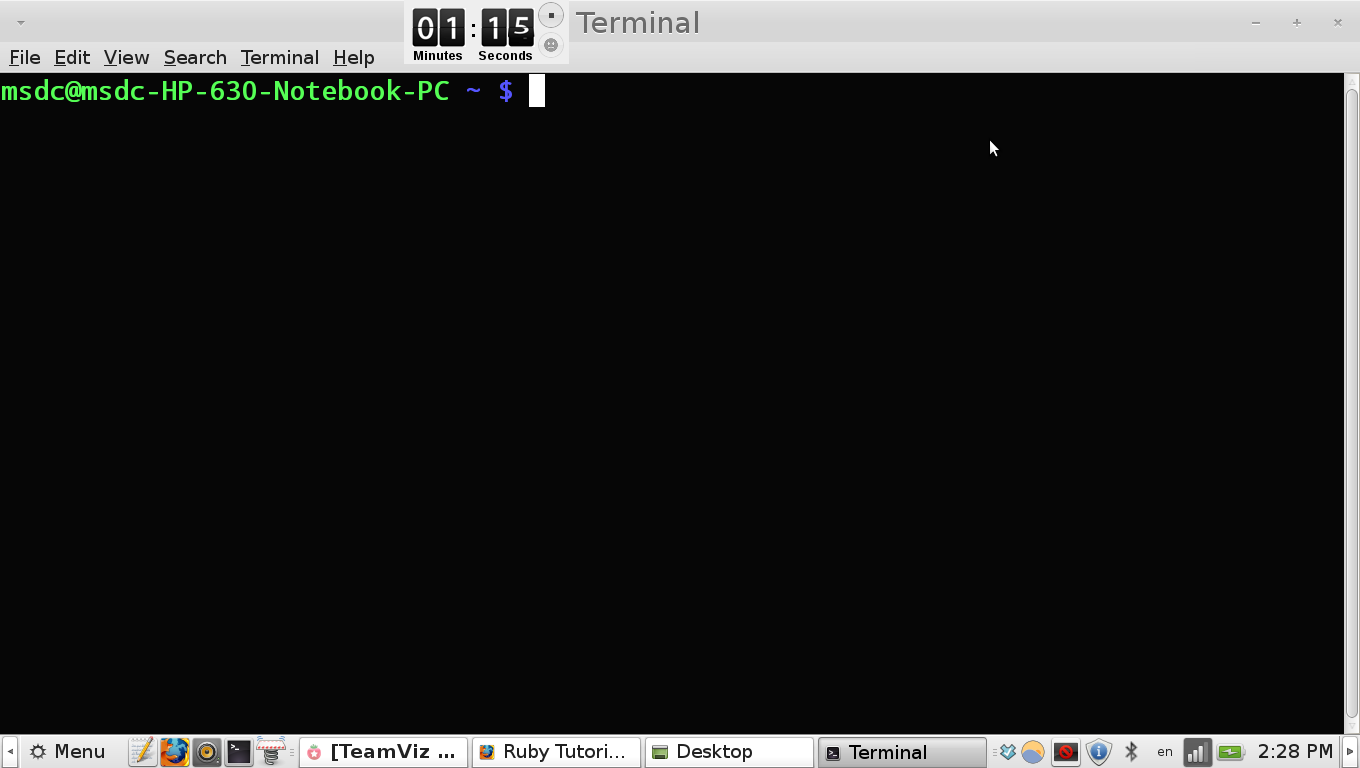 terminal-screen